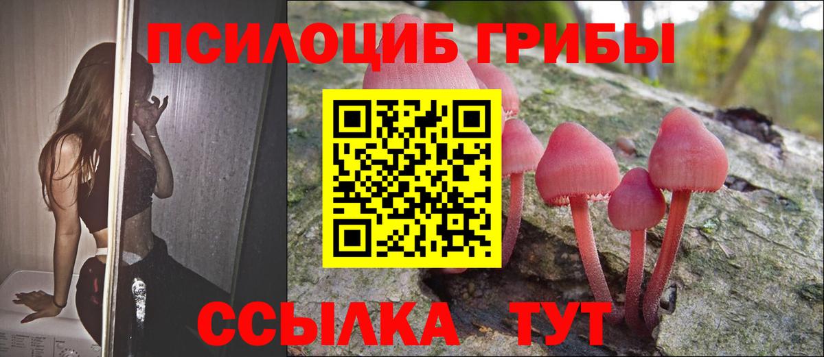 Псилоцибиновые грибы прущие грибы  Вход с VPN  Галлюциногенные грибы GOLDEN TEACHER  Курчалой 